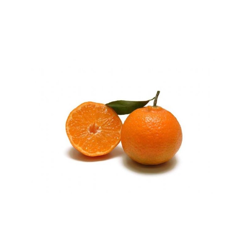 Clementine Siciliane