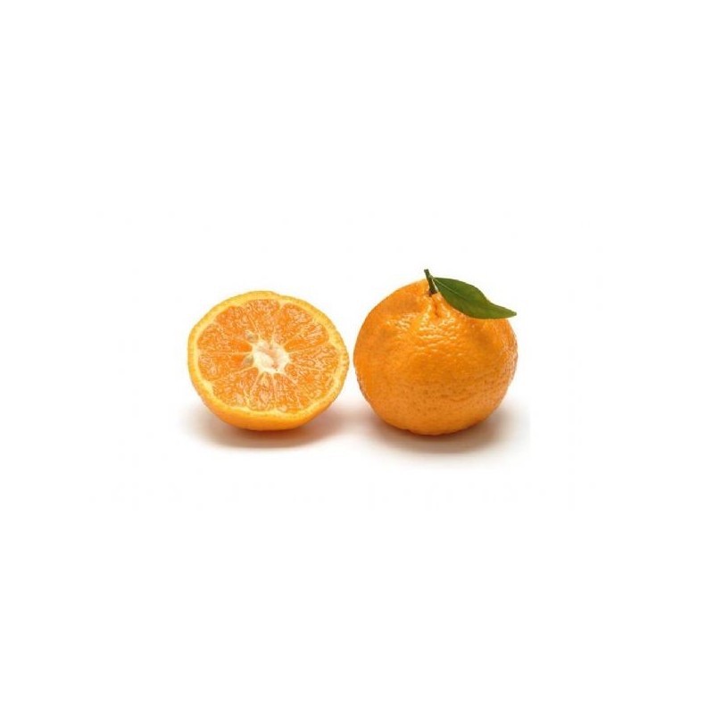Mandarini Siciliani