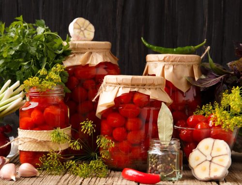 Conserve di pesce e di terra: l’eccellenza siciliana su Zionicolino.it